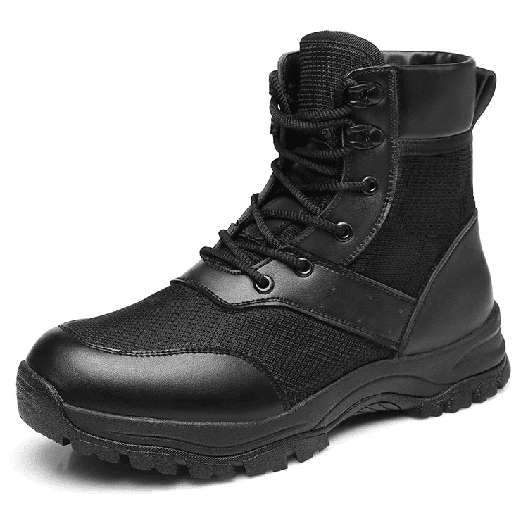 19116L(summer version)